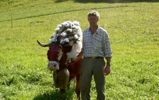 Hans Aufschnaiter mit einer geschmückten Kuh beim Almabtrieb